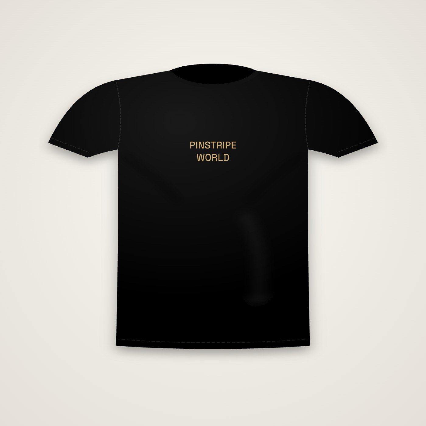 Pinstripe World Heavyweight Tee by Daniel